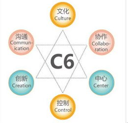 金和C6六脈神劍 助力企業(yè)跨越管理黑洞，實(shí)現(xiàn)高效運(yùn)營
